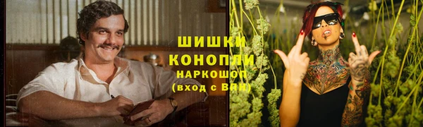 спайс Алзамай